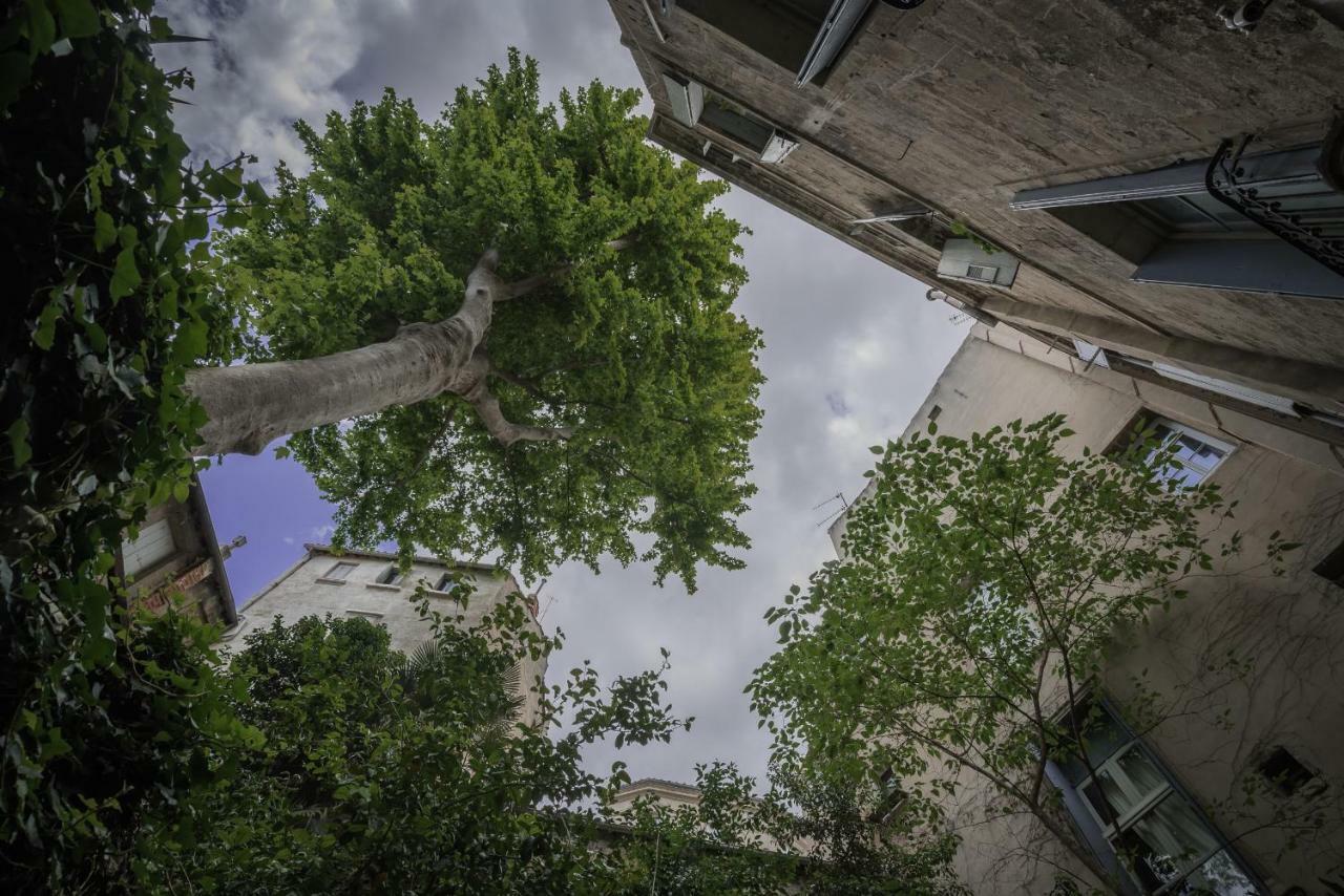 Appartamento Les Jardins De L´Ecusson - Première Conciergerie Montpellier Esterno foto
