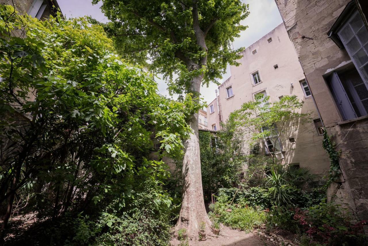 Appartamento Les Jardins De L´Ecusson - Première Conciergerie Montpellier Esterno foto